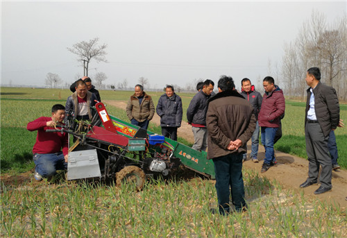 Garlic Harvester (7).jpg